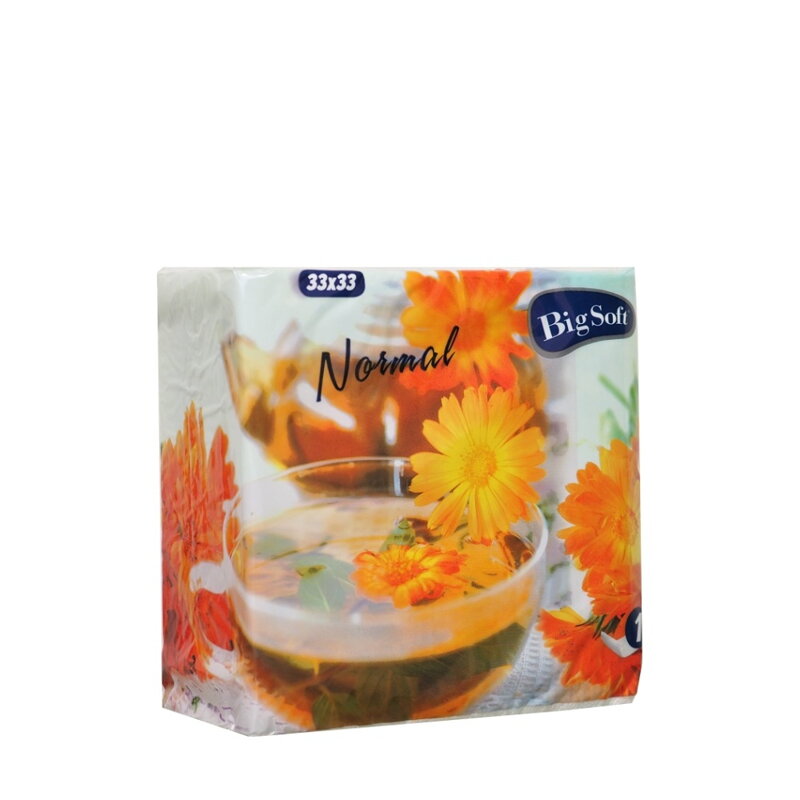 Papírové ubrousky Big Soft 33 x 33 cm, 100 ks celulóza Papírové ubrousky Big Soft 33 x 33 cm, 100 ks celulóza